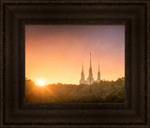 Load image into Gallery viewer, Washington DC Sunset Gold