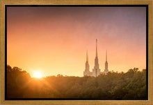 Load image into Gallery viewer, Washington DC Sunset Gold