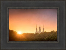 Load image into Gallery viewer, Washington DC Sunset Gold