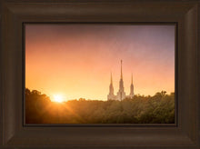 Load image into Gallery viewer, Washington DC Sunset Gold