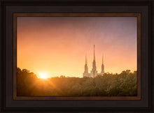 Load image into Gallery viewer, Washington DC Sunset Gold