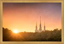 Load image into Gallery viewer, Washington DC Sunset Gold
