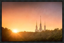 Load image into Gallery viewer, Washington DC Sunset Gold
