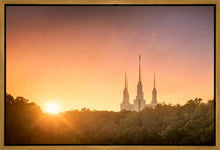 Load image into Gallery viewer, Washington DC Sunset Gold