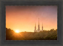 Load image into Gallery viewer, Washington DC Sunset Gold