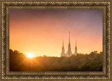 Load image into Gallery viewer, Washington DC Sunset Gold