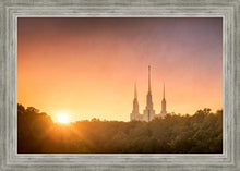 Load image into Gallery viewer, Washington DC Sunset Gold