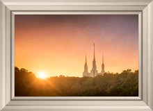 Load image into Gallery viewer, Washington DC Sunset Gold