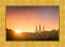 Load image into Gallery viewer, Washington DC Sunset Gold
