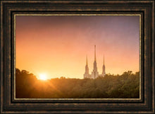 Load image into Gallery viewer, Washington DC Sunset Gold
