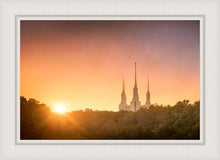 Load image into Gallery viewer, Washington DC Sunset Gold