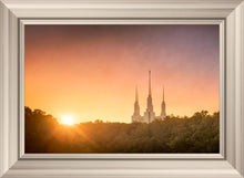 Load image into Gallery viewer, Washington DC Sunset Gold