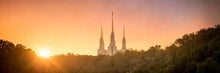 Load image into Gallery viewer, Washington DC Sunset Gold