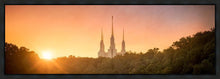 Load image into Gallery viewer, Washington DC Sunset Gold
