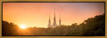 Load image into Gallery viewer, Washington DC Sunset Gold