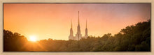 Load image into Gallery viewer, Washington DC Sunset Gold