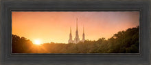 Load image into Gallery viewer, Washington DC Sunset Gold
