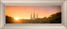 Load image into Gallery viewer, Washington DC Sunset Gold