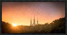 Load image into Gallery viewer, Washington DC Sunset Gold