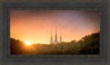 Load image into Gallery viewer, Washington DC Sunset Gold