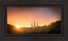Load image into Gallery viewer, Washington DC Sunset Gold
