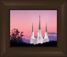 Load image into Gallery viewer, Washington DC Sunset Glow Panorama