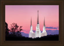 Load image into Gallery viewer, Washington DC Sunset Glow Panorama