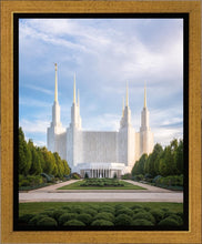 Load image into Gallery viewer, Washington DC Blue