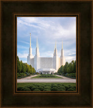 Load image into Gallery viewer, Washington DC Blue