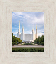 Load image into Gallery viewer, Washington DC Blue