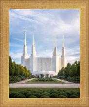 Load image into Gallery viewer, Washington DC Blue