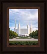 Load image into Gallery viewer, Washington DC Blue