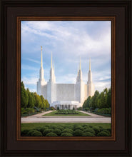 Load image into Gallery viewer, Washington DC Blue