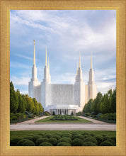 Load image into Gallery viewer, Washington DC Blue