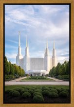 Load image into Gallery viewer, Washington DC Blue