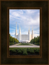 Load image into Gallery viewer, Washington DC Blue