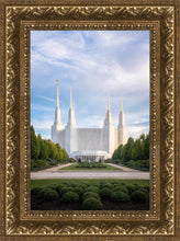 Load image into Gallery viewer, Washington DC Blue