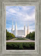 Load image into Gallery viewer, Washington DC Blue