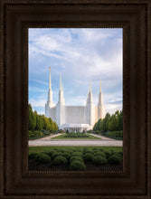 Load image into Gallery viewer, Washington DC Blue