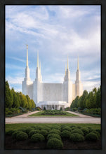 Load image into Gallery viewer, Washington DC Blue
