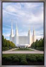 Load image into Gallery viewer, Washington DC Blue