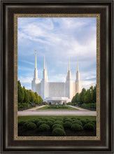 Load image into Gallery viewer, Washington DC Blue