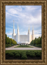 Load image into Gallery viewer, Washington DC Blue