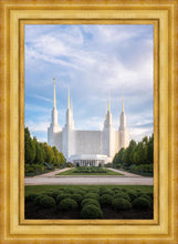 Load image into Gallery viewer, Washington DC Blue