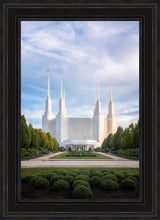 Load image into Gallery viewer, Washington DC Blue