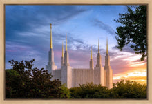 Load image into Gallery viewer, Washington DC Last Sunset
