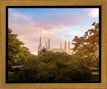 Load image into Gallery viewer, Washington DC Sunset Panorama
