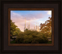 Load image into Gallery viewer, Washington DC Sunset Panorama