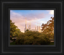 Load image into Gallery viewer, Washington DC Sunset Panorama