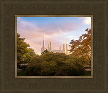 Load image into Gallery viewer, Washington DC Sunset Panorama